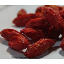 Baie de Goji lyophilisée au Ningxia